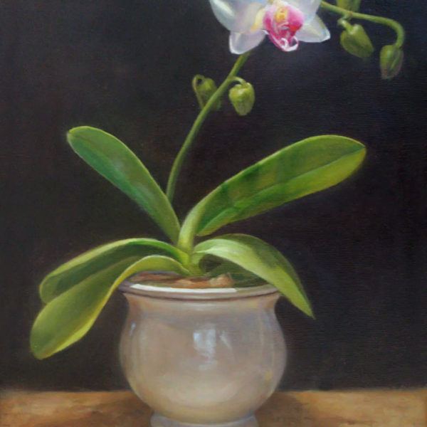 First Arrival First Arrival