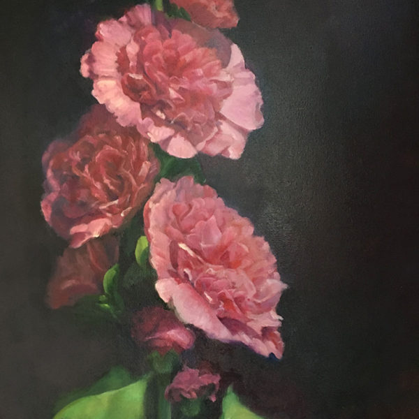 Hollyhocks Hollyhocks